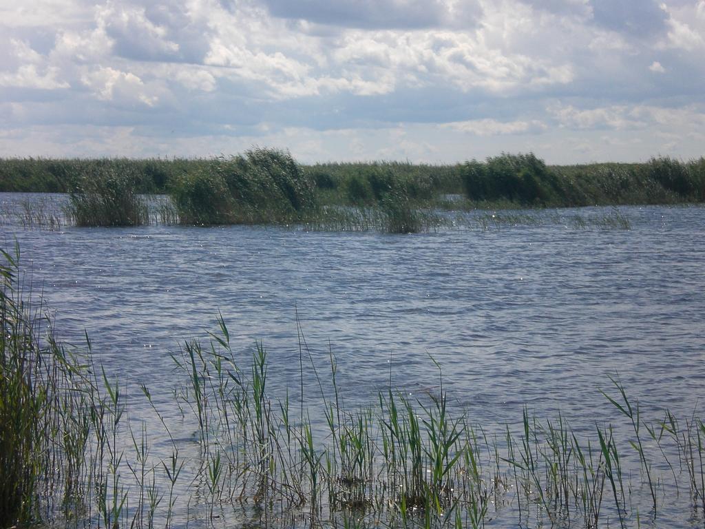 Ferienwohnungen Feldsee อิลมิทซ์ ภายนอก รูปภาพ