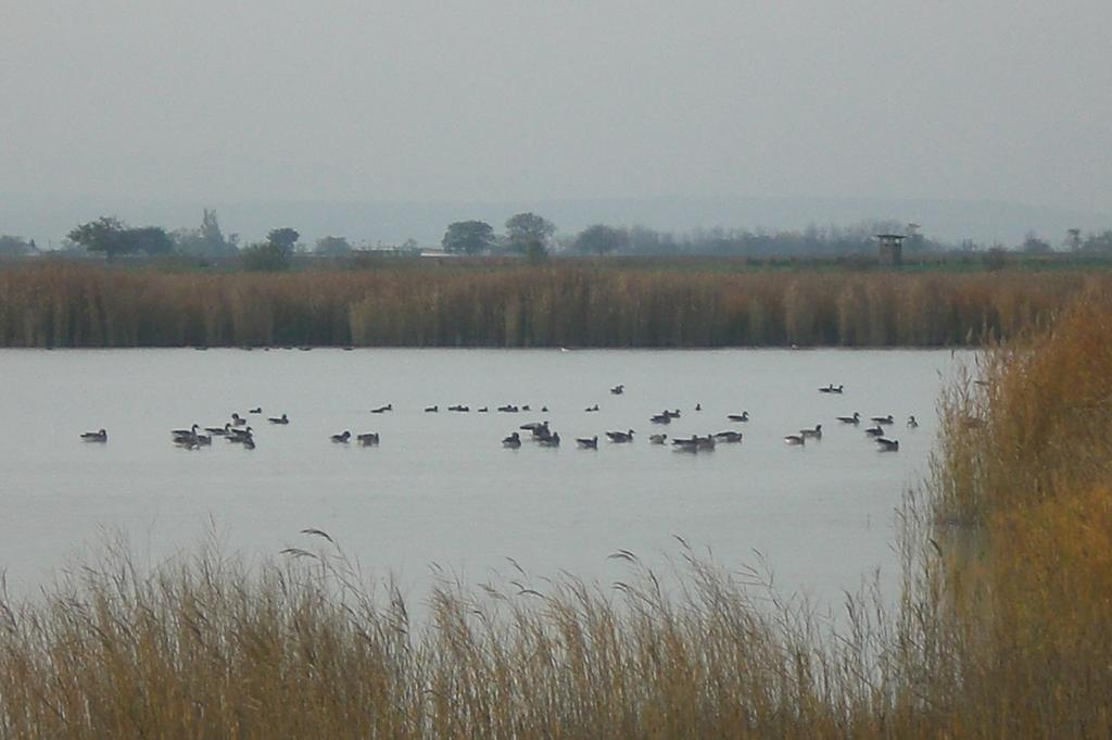 Ferienwohnungen Feldsee อิลมิทซ์ ภายนอก รูปภาพ