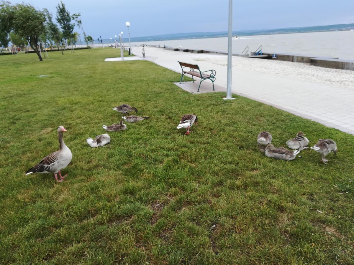 Ferienwohnungen Feldsee อิลมิทซ์ ภายนอก รูปภาพ