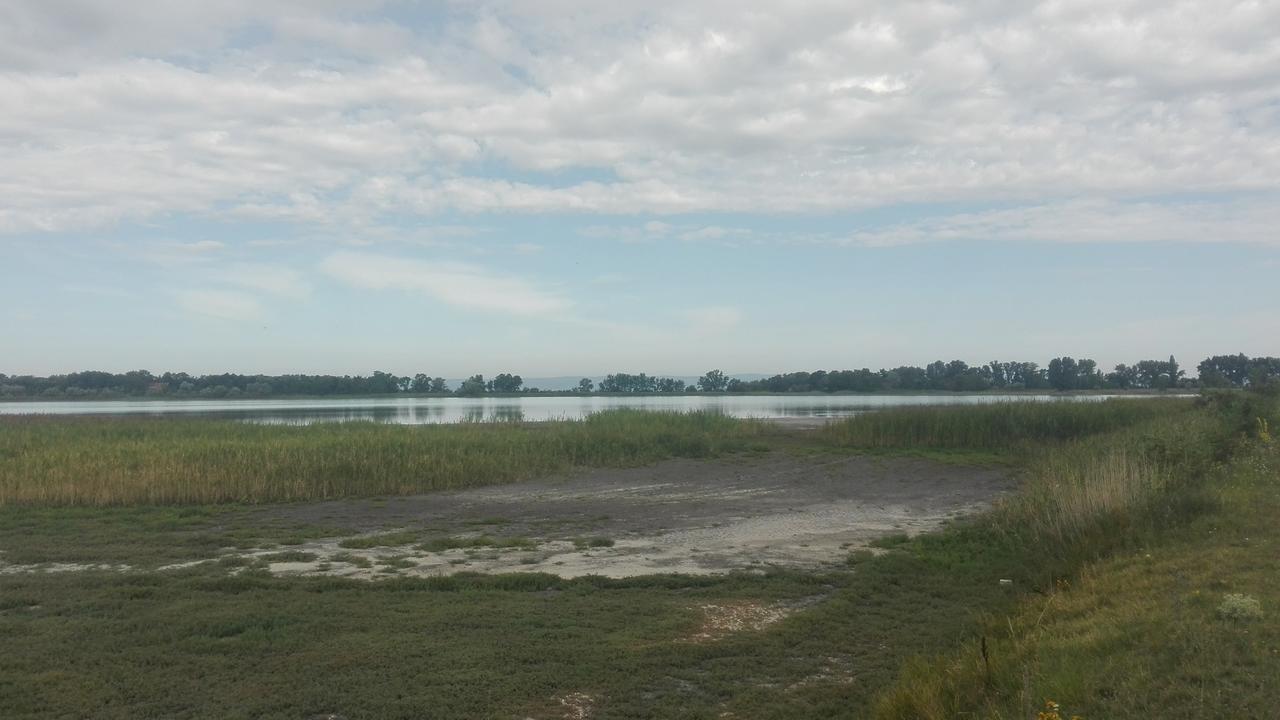 Ferienwohnungen Feldsee อิลมิทซ์ ภายนอก รูปภาพ
