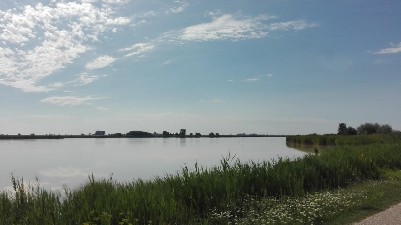 Ferienwohnungen Feldsee อิลมิทซ์ ภายนอก รูปภาพ